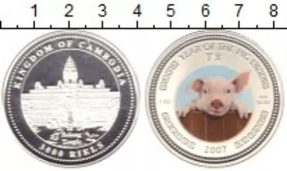 Монета 3000 риель Камбоджи 2007 года Серебро Год свиньи