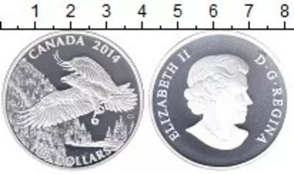 Монеты Клуб Нумизмат