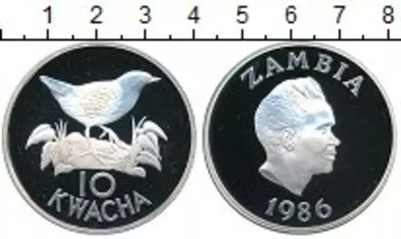 Монета 10 квач Замбии 1986 года Серебро Птичка