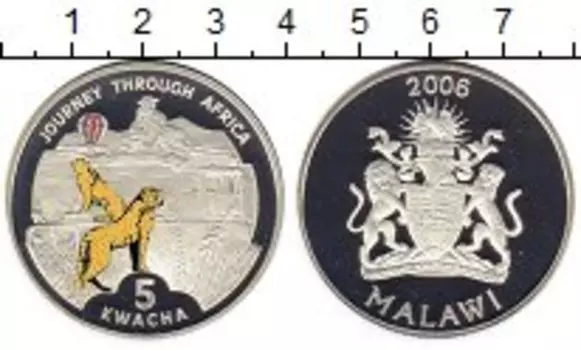 Монета 5 квач Малави 2006 года Серебро Путешествие по Африке, гепард