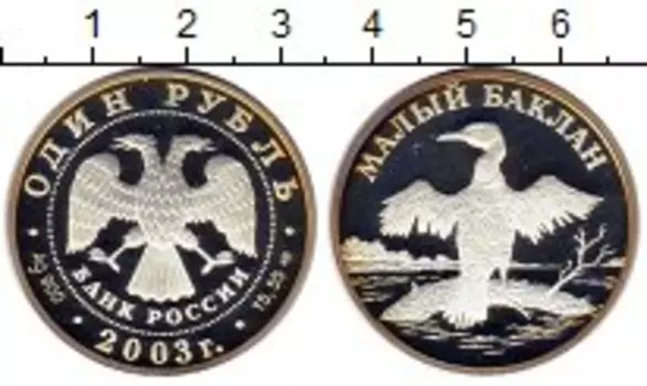 Монета рубль России 2003 года Серебро Малый баклан