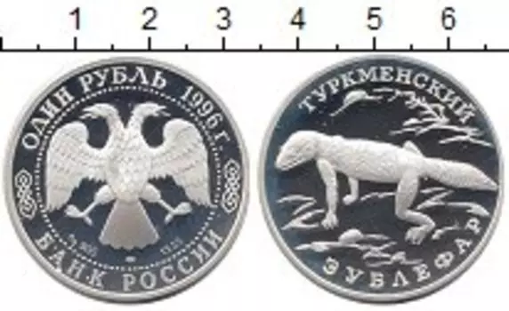 Монета рубль России 1996 года Серебро Туркменский зублефар