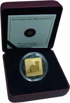 Монета 3 доллара Канады 2011 года Серебро Черный быстроногий хорек