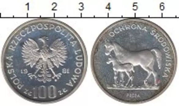 Монета 100 злотых Польши 1981 года Серебро Охрана окружающей среды,лошадь,Проба