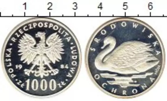 Монета 1000 злотых Польши 1984 года Серебро Охрана окружающей среды,лебедь,проба