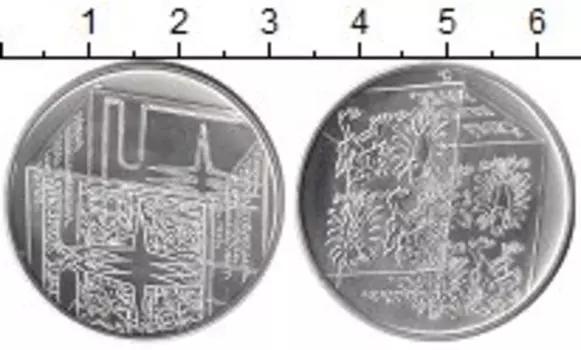 Монеты Клуб Нумизмат