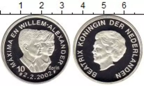 Монета 10 флоринов Нидерланд 2002 года Серебро Максима и Виллем-Александр
