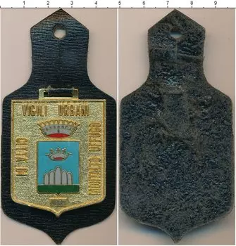 Монета Полицейский знак Италии Латунь Монтальто-Уффуго