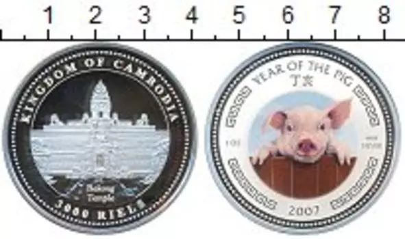Монета 3000 риель Камбоджи 2007 года Серебро Год кабана