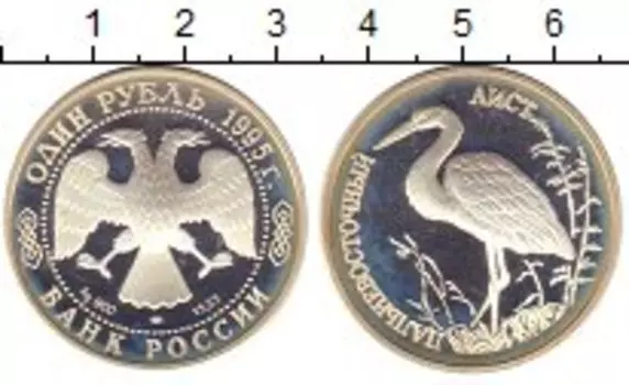 Монета рубль России 1995 года Серебро Дальневосточный аист