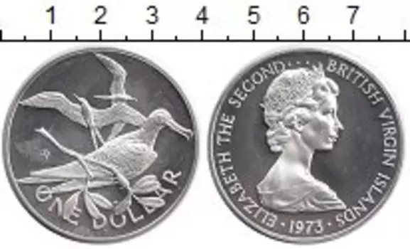 Монета доллар Виргинских островов 1973 года Серебро Елизавета II