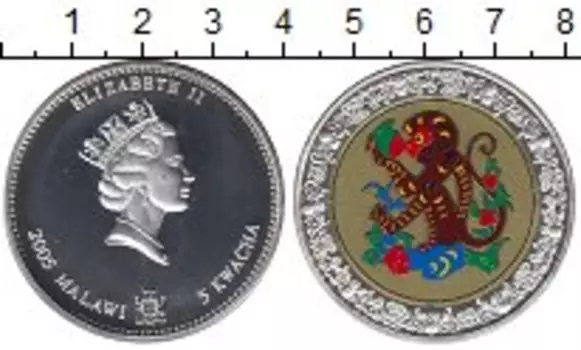 Монета 5 квач Малави 2005 года Посеребрение Обезьяна