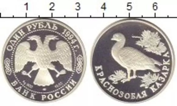 Монета рубль России 1994 года Серебро Краснозобая казарка