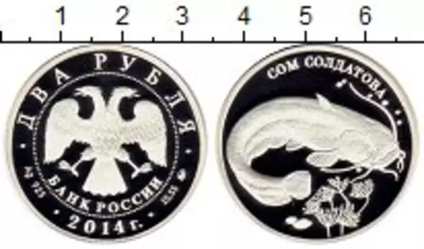 Монеты Клуб Нумизмат