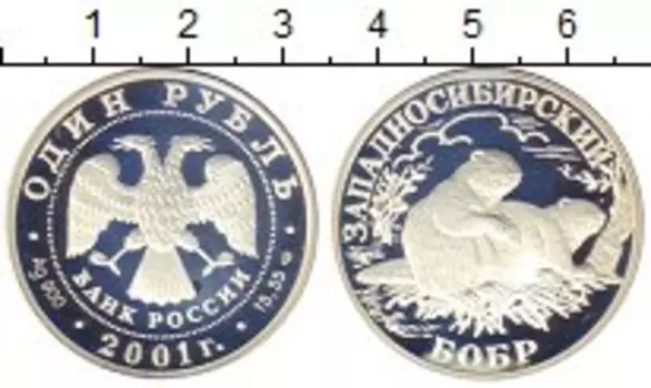 Монета рубль России 2001 года Серебро Западносибирский бобр
