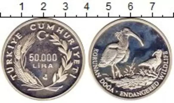 Монета 50000 лир Турции 1994 года Серебро Лысый ибис
