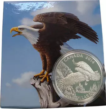 Подарочные монеты Клуб Нумизмат