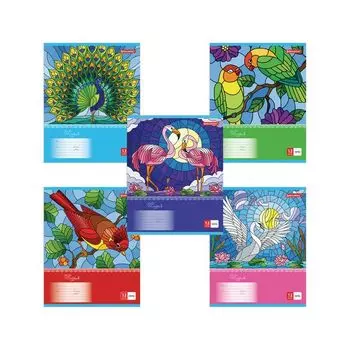 105619, (цена за 60 шт.) Тетрадь 12л. BRAUBERG клетка, обложка картон, УДИВИТЕЛЬНЫЕ ПТИЦЫ