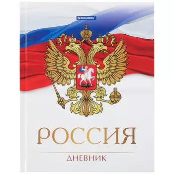 106067, (цена за 6 шт.) Дневник 5-11 класс 48 л., твердый, BRAUBERG, глянцевая ламинация, с подсказом, "Символика 2", 106067