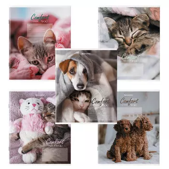 106485, (цена за 20 шт.) Тетрадь 24 л. BRAUBERG клетка, обложка картон, "ПИТОМЦЫ", 106485