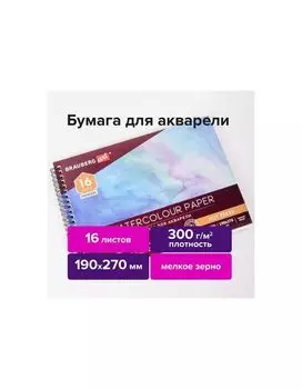 113214, Альбом для акварели, бумага 300 г/м2, 190х270 мм, мелкое зерно, 16 листов, гребень, BRAUBERG ART PREMIERE, 113214