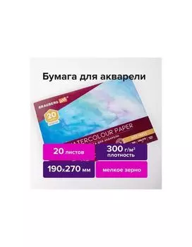 113224, Альбом для акварели, бумага 300 г/м2, 190х270 мм, мелкое зерно, 20 листов, склейка, BRAUBERG ART PREMIERE, 113224