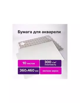 113227, Бумага для акварели 300 г/м2 360x460 мм мелкое зерно, 10 листов, BRAUBERG ART PREMIERE, 113227