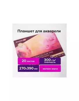 113249, Папка для акварели/планшет, 300 г/м2, 270х390 мм, склейка, мелкое зерно, 20 л., BRAUBERG ART PREMIERE, 113249