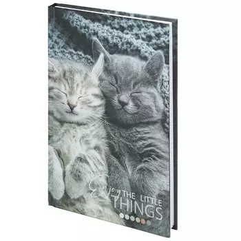 114413, Блокнот А5 (134х206 мм), 80 л., твёрдый, клетка, STAFF, "Котики", 114413