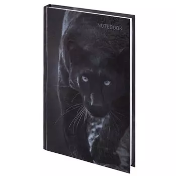 114432, Блокнот А5 (134х206 мм), 96 л., твёрдый, клетка, STAFF, "Пантера", 114432