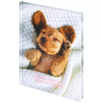 114440, (цена за 6 шт.) Блокнот МАЛЫЙ ФОРМАТ (110х147 мм), А6, 80 л., твёрдый, клетка, STAFF, "Щеночек", 114440