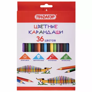 181809, Карандаши цветные ПИФАГОР "Веселая такса", 36 цветов, классические, заточенные, 181809