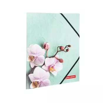 228032, (цена за 6 шт.) Папка на резинках BRAUBERG FLOWER, А4, цветная печать, до 300 листов, 500 мкм
