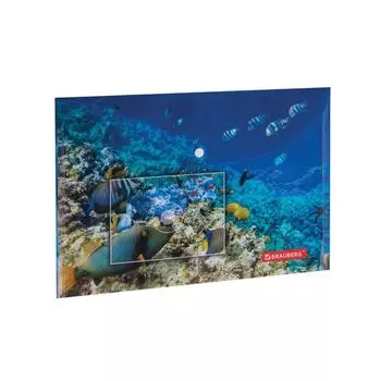 228041, (цена за 12 шт.) Папка-конверт с кнопкой BRAUBERG SEA WORLD, А4, 160 мкм, до 100 листов, цветная печать