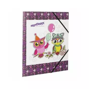 228048, (цена за 6 шт.) Папка на резинках ЮНЛАНДИЯ "Умные совы, А4, цветная печать, до 300 листов, 500 мкм