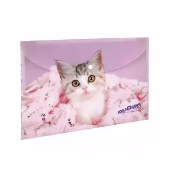 228049, (цена за 12 шт.) Папка-конверт с кнопкой ЮНЛАНДИЯ "Котенок", А4, 160 мкм, до 100 листов, цветная печат