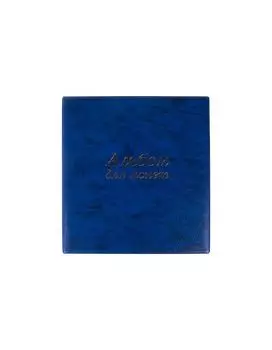 237960, Альбом нумизматика для 380 монет (диаметр до 38 мм) и купюр, 253х238 мм, синий, ОСТРОВ СОКРОВИЩ, 237960