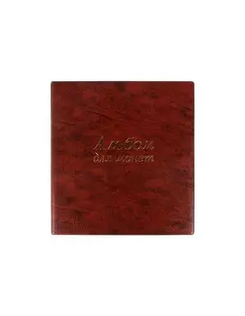 237961, Альбом нумизматика для 380 монет (диаметр до 38 мм) и купюр, 253х238 мм, коричневый, ОСТРОВ СОКРОВИЩ, 237961