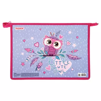 270097, Папка для тетрадей ПИФАГОР А4, 1 отделение, картон/пластик, молния сверху, Owlet, 270097