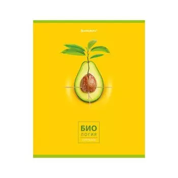 404276, Тетрадь предметная AVOCADO 48 л., глянцевый лак, БИОЛОГИЯ, клетка, BRAUBERG, 404276