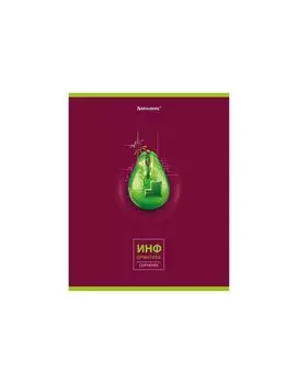 404279, Тетрадь предметная AVOCADO 48 л., глянцевый лак, ИНФОРМАТИКА, клетка, BRAUBERG, 404279