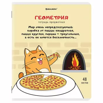404561, (цена за 10 шт.) Тетрадь предметная "КОТ-ЭНТУЗИАСТ" 48л, TWIN лак, ГЕОМЕТРИЯ, клетка, BRAUBERG, 404561