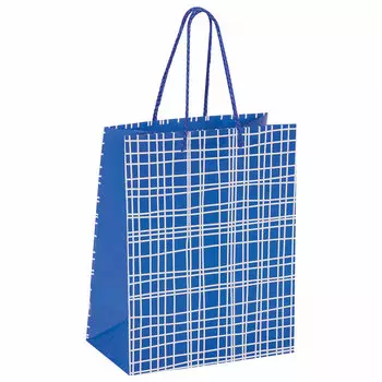 606597, (цена за 12 шт.) Пакет подарочный 17,8x9,8x22,9 см, ЗОЛОТАЯ СКАЗКА "В голубую клетку", ламинированный, 606597