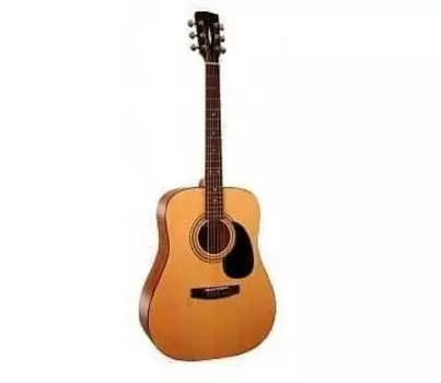 Акустическая гитара Parkwood W81-WBAG-OP с чехлом