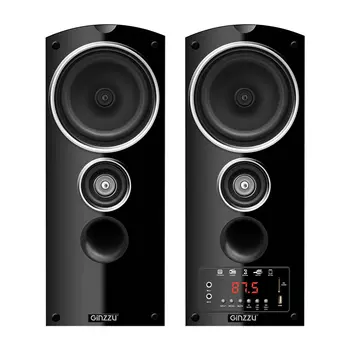 Акустическая система Ginzzu GM-301