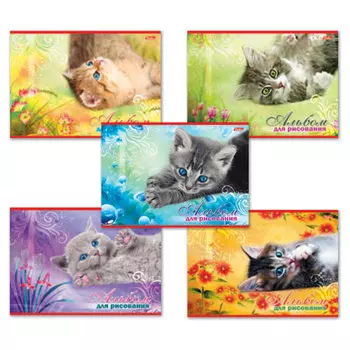 Альбом для рисования, А4, 20 листов, обложка картон, HATBER, 205х290 мм, Котята, 20А4В, A17357, (24 шт.)