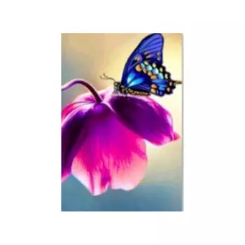 Алмазная картина Бабочка 50*40см без подрамника в коробке