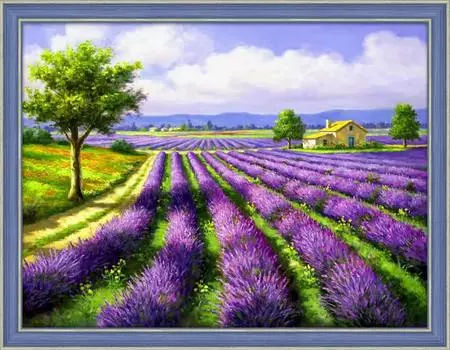 Алмазная картина Лавандовое поле 40*50см без подрамника