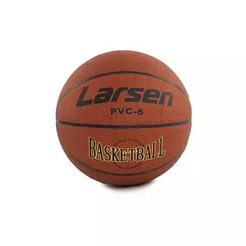 Баскетбольный мяч Larsen PVC5 р.5 126849