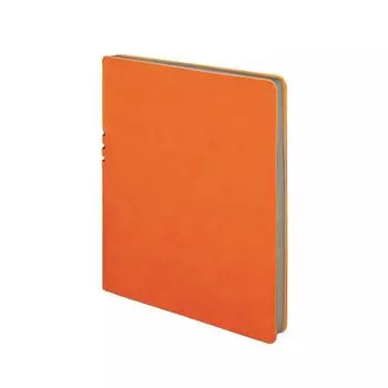 Бизнес-тетрадь BRAUBERG NEBRASKA, А4-, 220x265 мм, кожзам, клетка, 96 листов, ручка, оранжевый, 110961